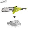 Sun Joe 24-volt cordless telescoping pole 8-inch chainsaw plus a 2.0-Ah lithium-ion battery.