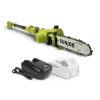 Sun Joe 24-volt 10-inch telescoping pole chainsaw.